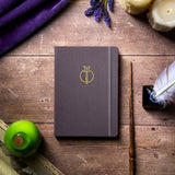 Istoria Magic Academy